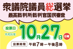 衆議院議員総選挙、最高裁判所裁判官国民審査。投票日：令和6年10月27日（日曜）。投票時間：午前7時から午後8時まで