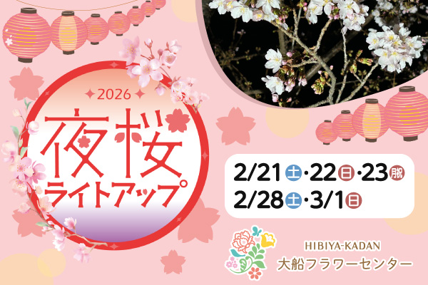 2026夜桜ライトアップ 2月21日（土曜）、22日（日曜）、23日（月曜、祝日）、28日（土曜）、3月1日（日曜）、日比谷花壇大船フラワーセンターのサイトへリンクします。