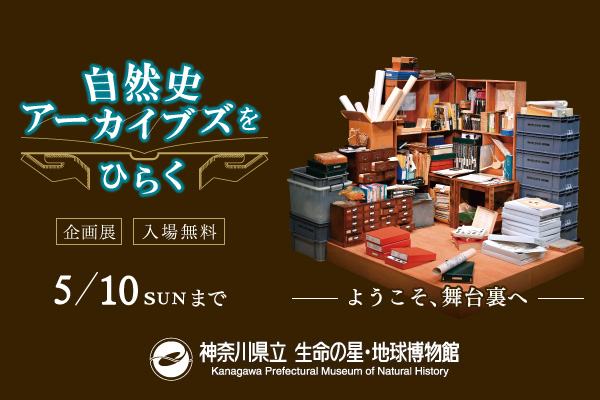 神奈川県立生命の星・地球博物館 企画展「自然史アーカイブズをひらく」。入場無料。5月10日（日曜）まで。神奈川県立生命の星・地球博物館のサイトにリンクします。