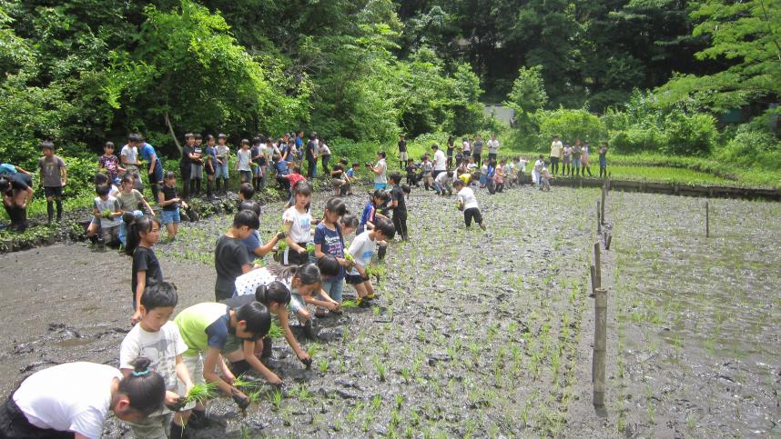 横浜市立東茅ケ崎小学校PTA