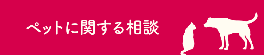 ペットに関する相談