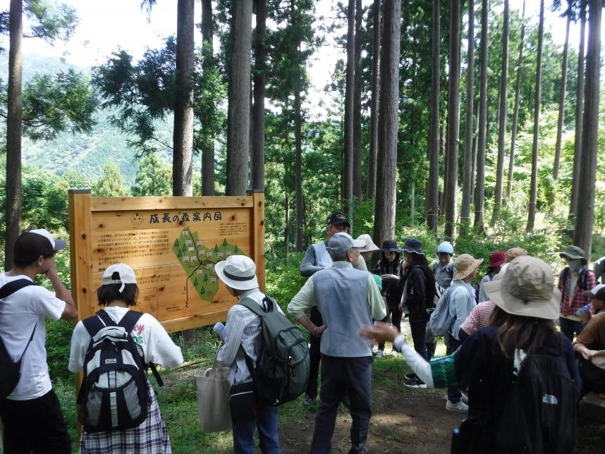 成長の森見学