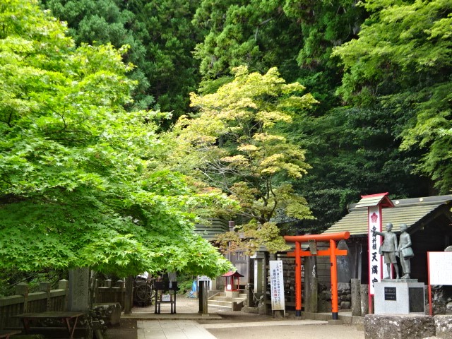 230831大山下社の紅葉