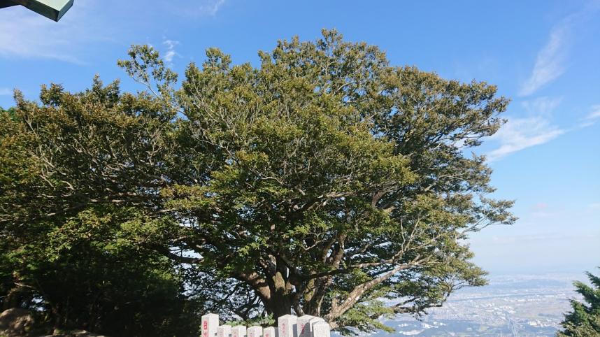 9月25日大山阿夫利神社下社