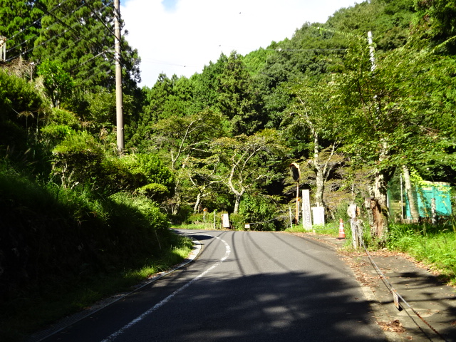 9月26日日向登山口青葉