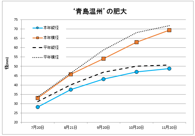 青島肥大