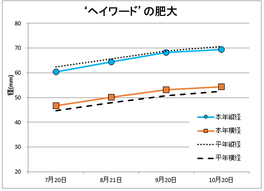 ヘイワード肥大