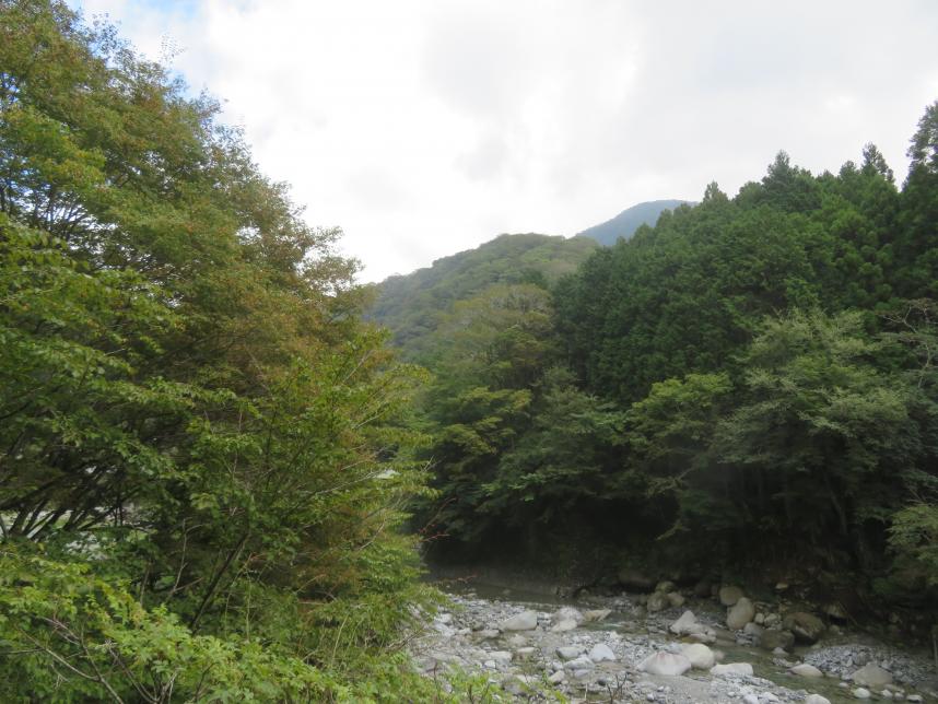 令和5年9月16日箒沢公園橋