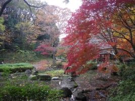 東高根森林公園