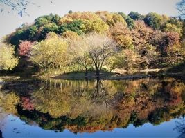 座間谷戸山公園