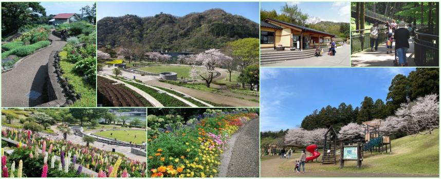 津久井湖城山公園の紹介写真