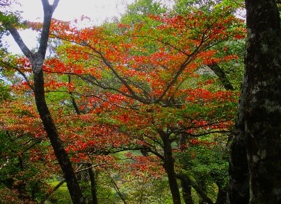 230929鍋割山陵