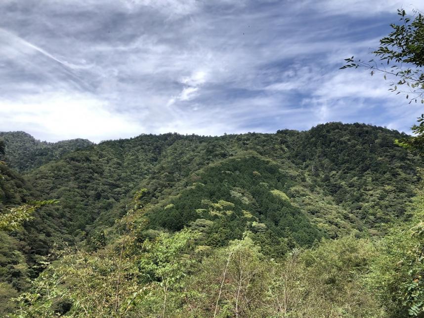 10月3日丹沢山塩水林道標高650m