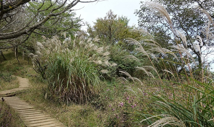 10月11日三ノ塔