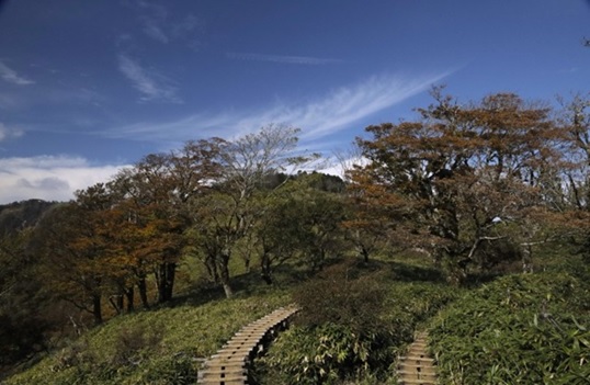 10月14日塔ノ岳から丹沢山の間その2