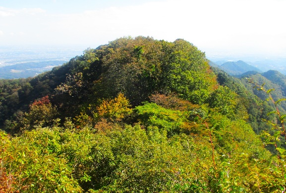 10月20日仏果山山頂周辺