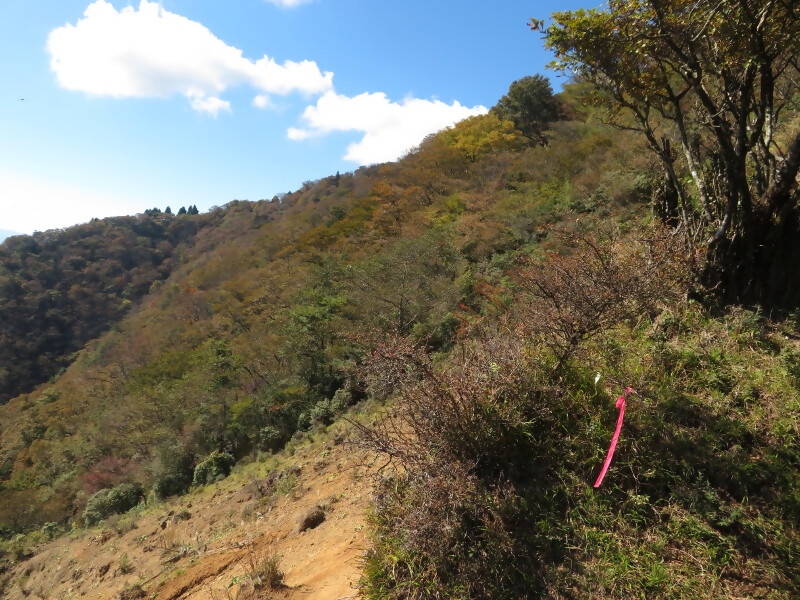 231024大山山頂周辺