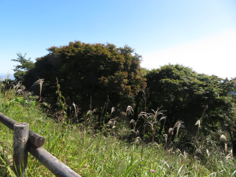 10月6日陣馬山山頂