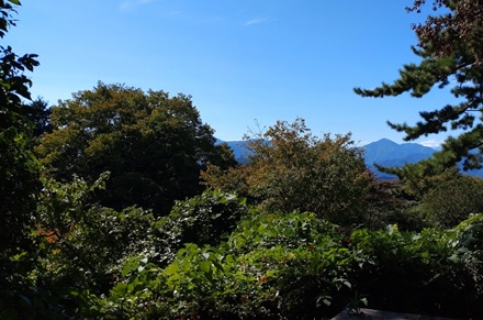 10月6日小仏城山