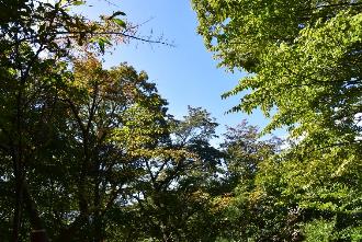 10月6日三国山山頂