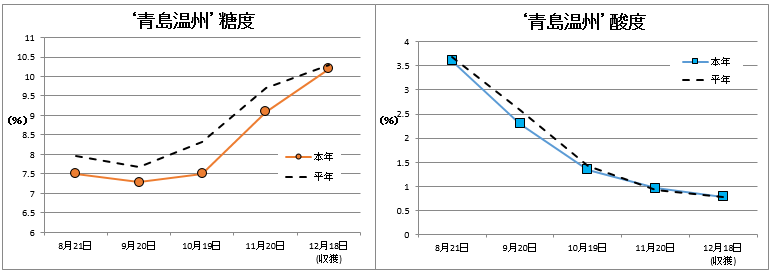 青島温州品質