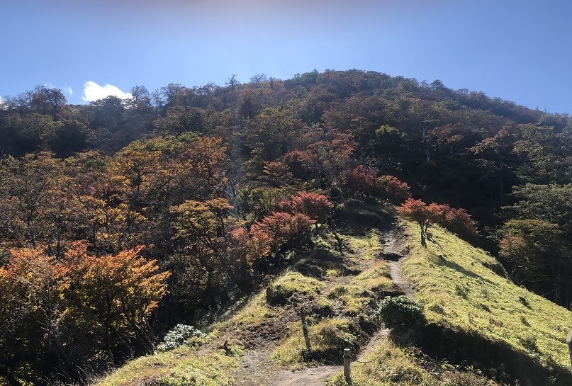 231017蛭ヶ岳山頂周辺