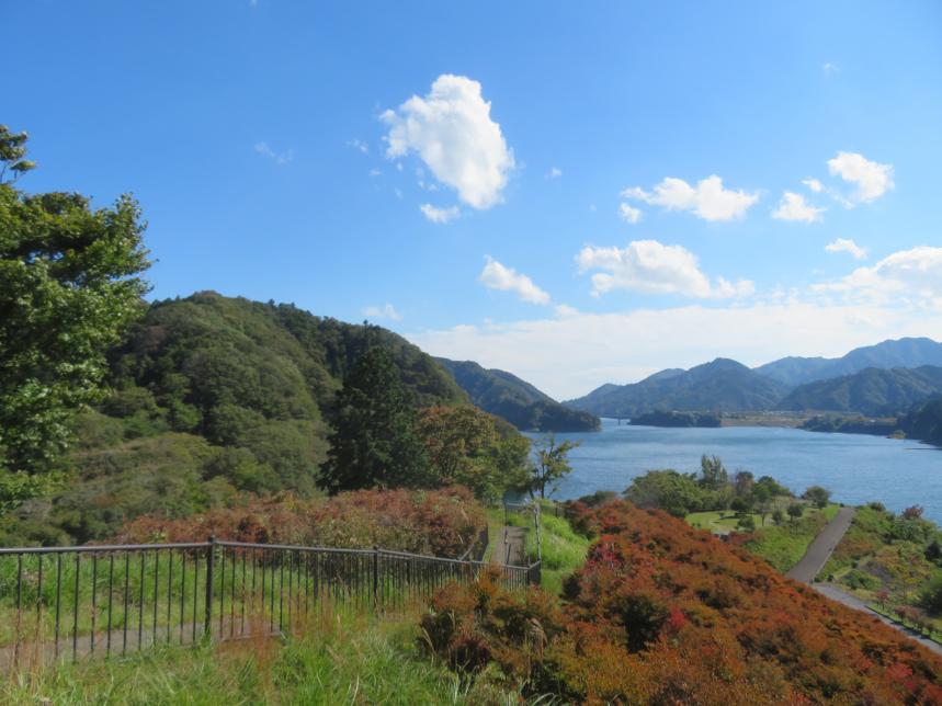 10月20日鳥居原園地から南山方面の紅葉