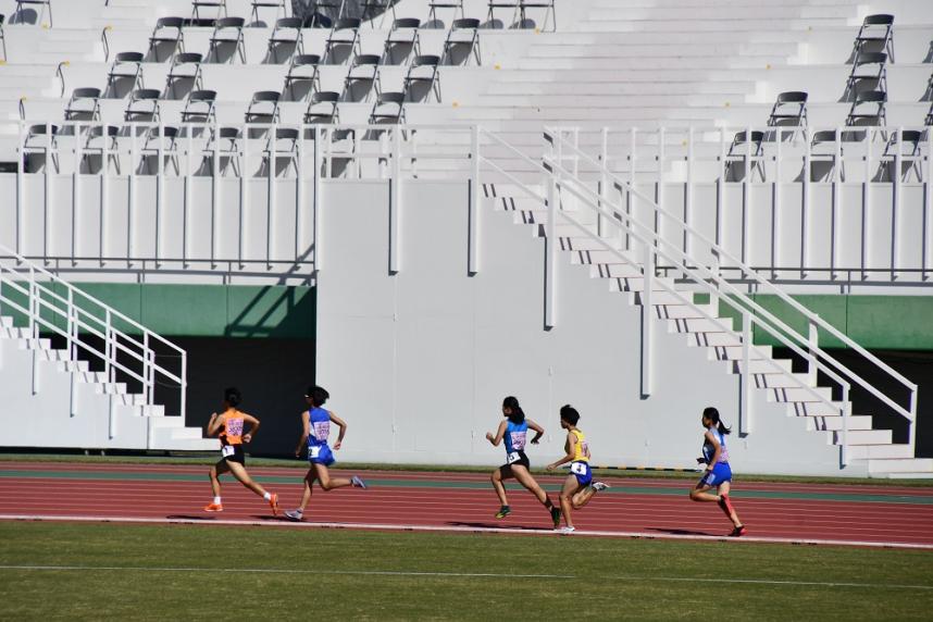 陸上競技（800m）2