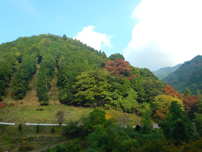 10月28日和田バス停紅葉