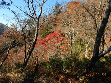 07hinokimarugenzaburo1360m