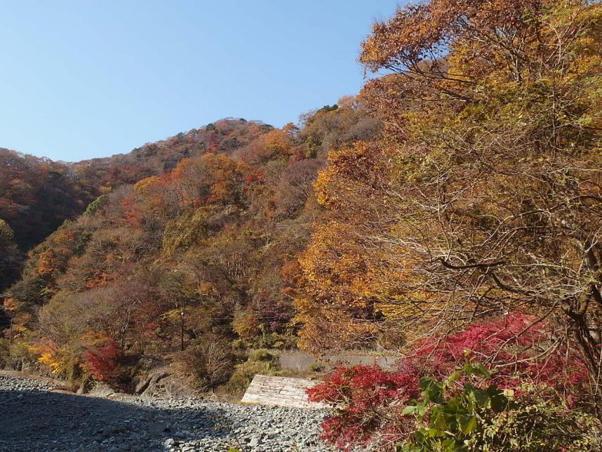 11月24日浅瀬橋