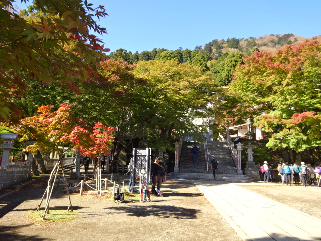 11月14日阿夫利神社下社