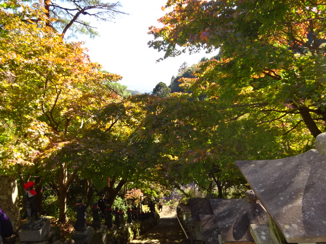 11月14日大山寺