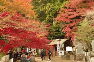 11月27日阿夫利神社下社