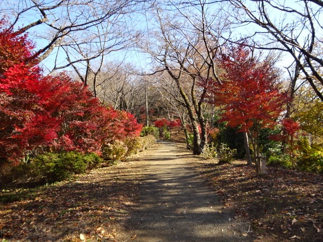 1207弘法山 馬場道周辺