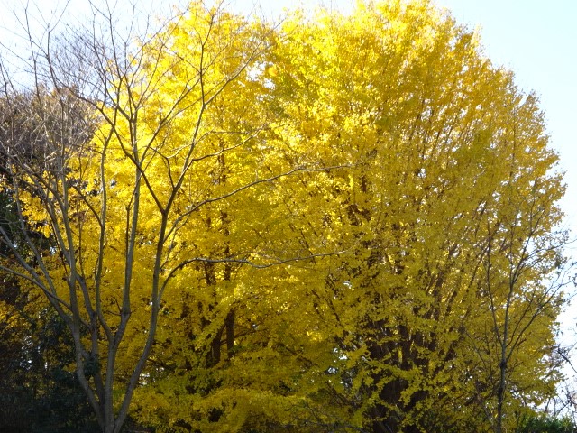 1207弘法山 山頂周辺