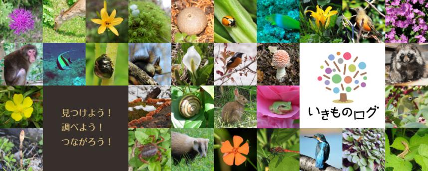 いきものログ