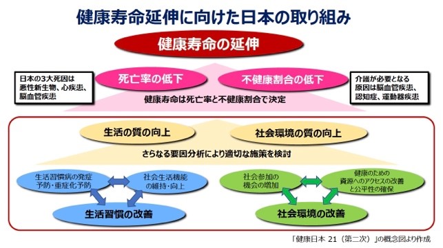 健康寿命延伸に向けた日本の取り組み（その2）