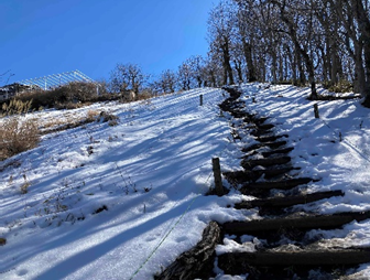 240214陣馬山山頂周辺