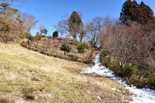 240214小仏城山山頂周辺