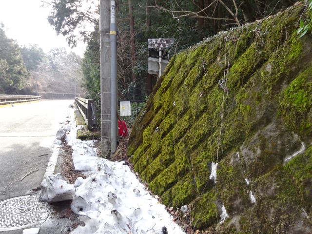 240215丹沢三峰登山口