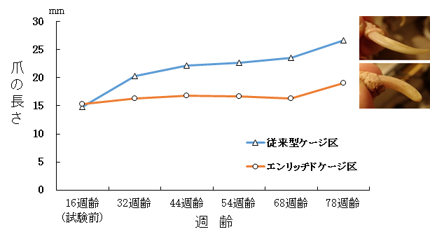 爪とぎ効果の検証