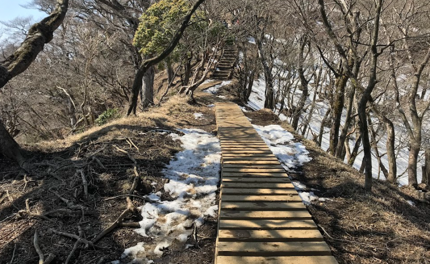 240316大山雷ノ峰尾根標高1150メートル付近