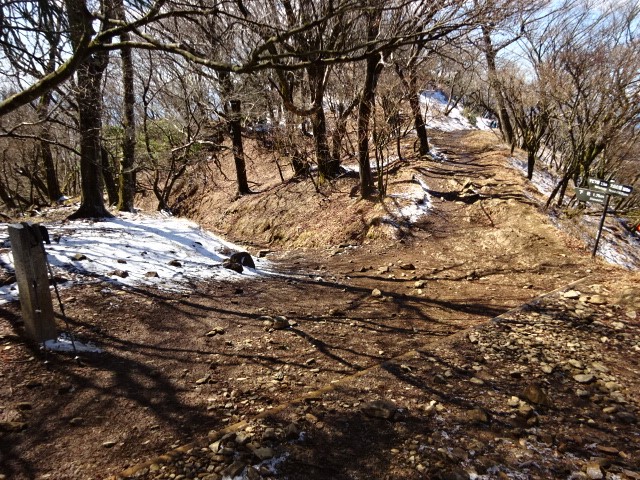 240327大山25丁目の積雪