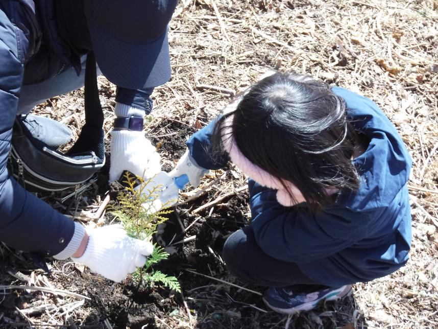 植樹の様子2