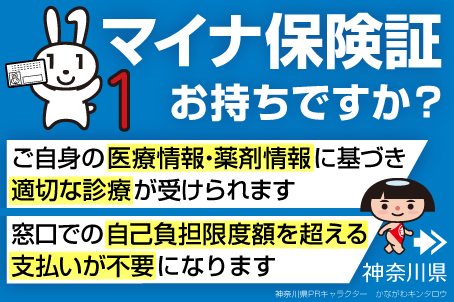 かながわキンタロウバージョン（大）