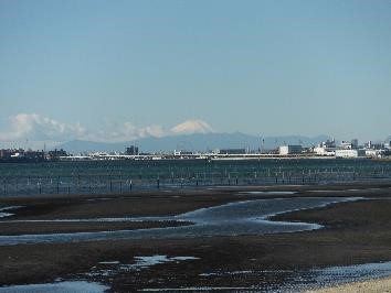 三番瀬と富士山