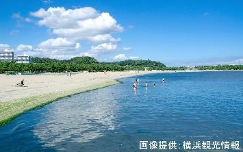 海の公園