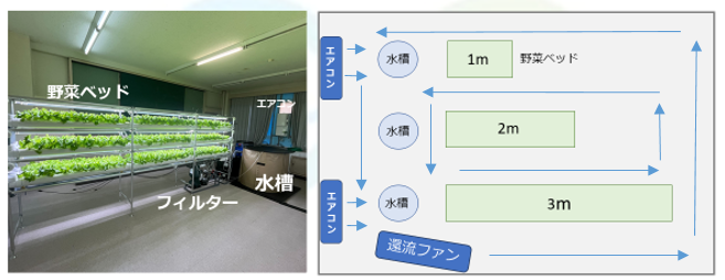 実証実験の様子