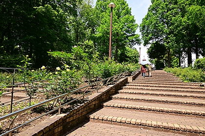 相模原北公園の花木園